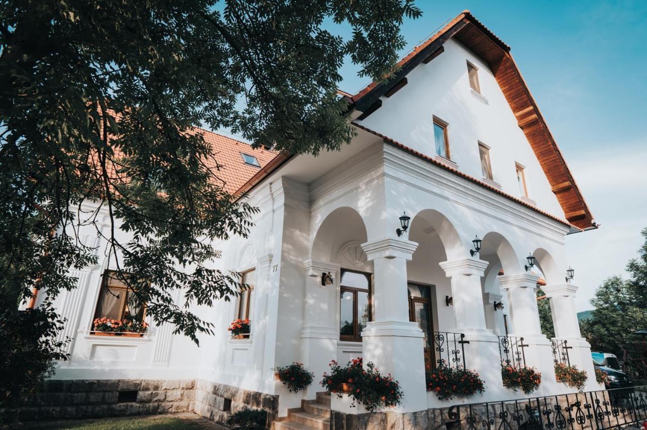 Conacul Secuiesc-Szekelyko Kuria Hotel Coltesti Bagian luar foto